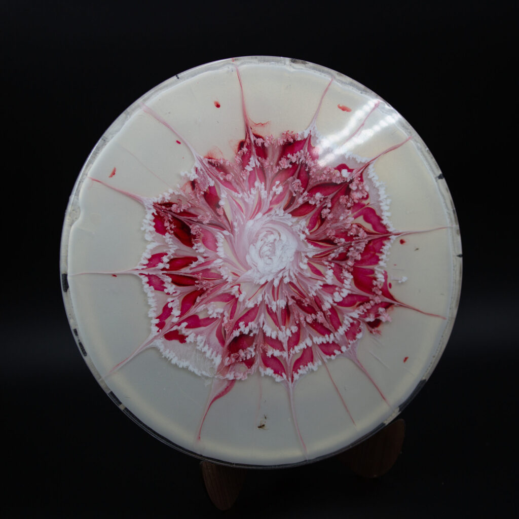 Handmade 14" Red and white floral wall clock blank